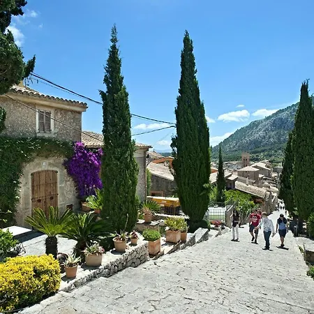 Owl Santuiri - Exclusive Holidays